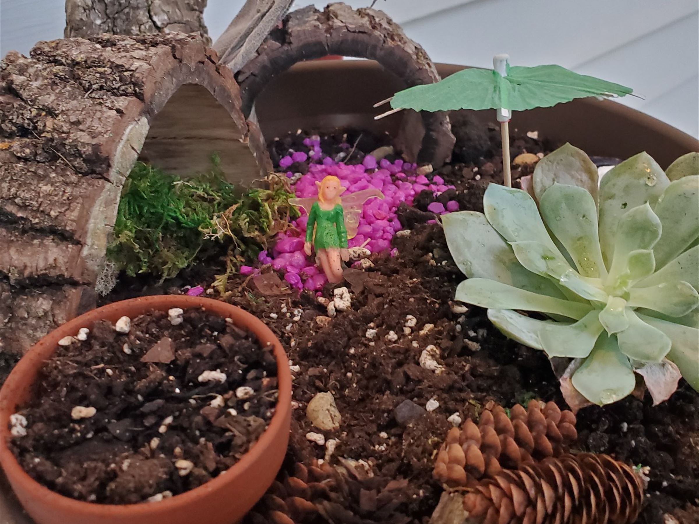 Gnome Home Miniature Garden