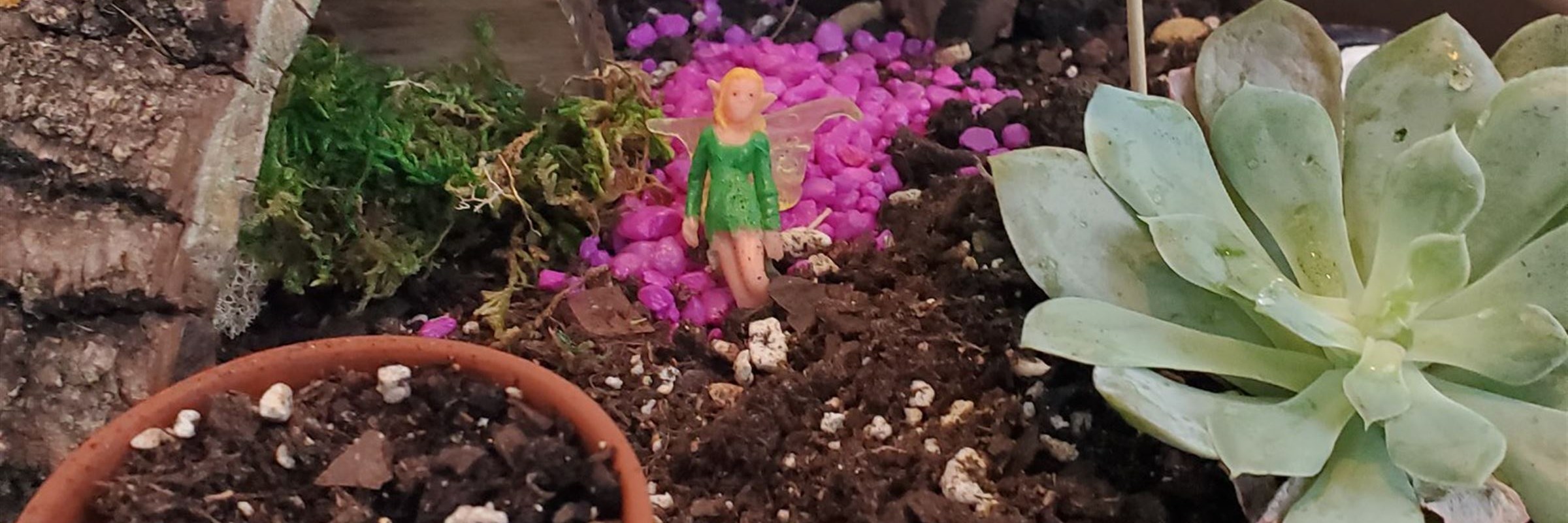 Gnome Home Miniature Garden