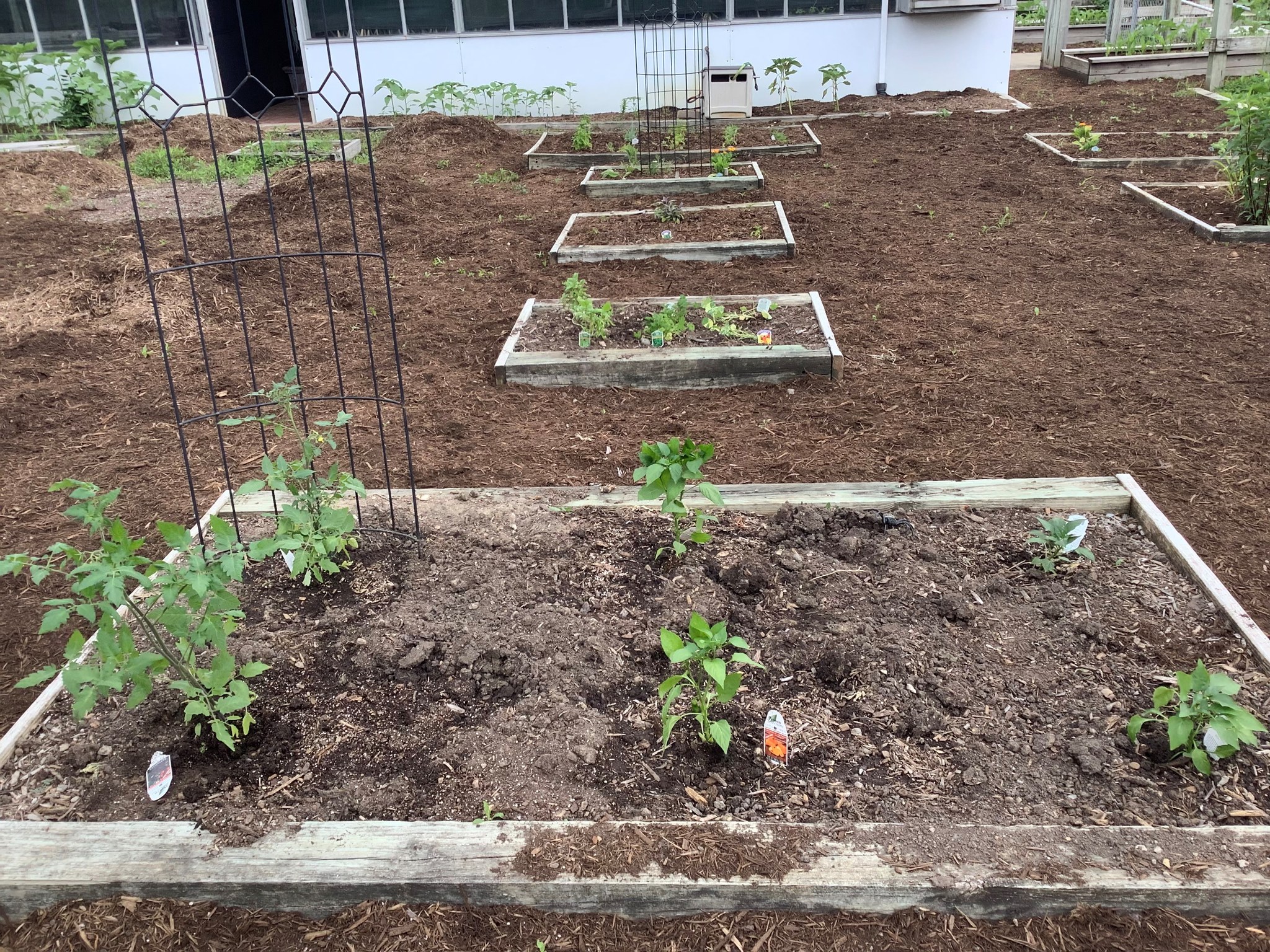 Summertime is Garden Time