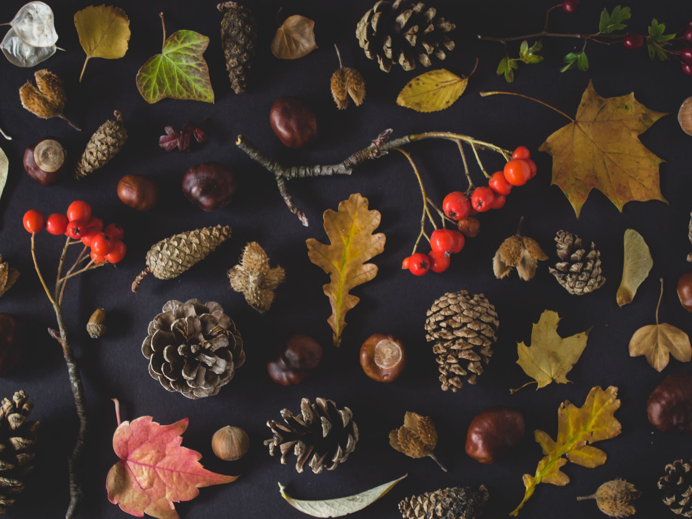 Potpourri Cabin Creation for Kids