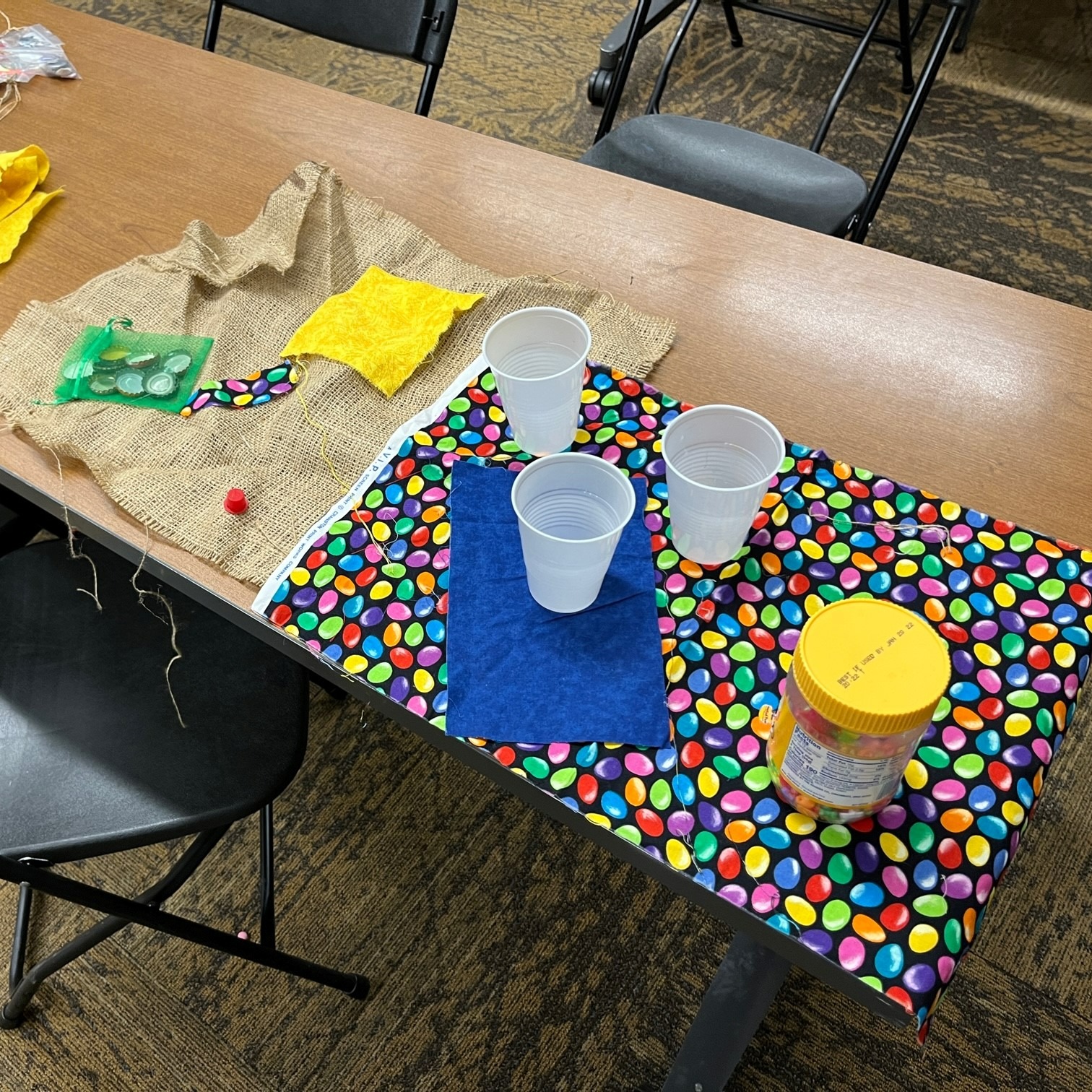 America Recycles Day Program!