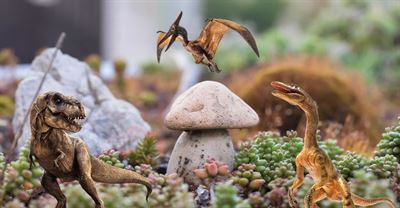 image Dinos & Scary Creatures Mini Garden for Homeschoolers