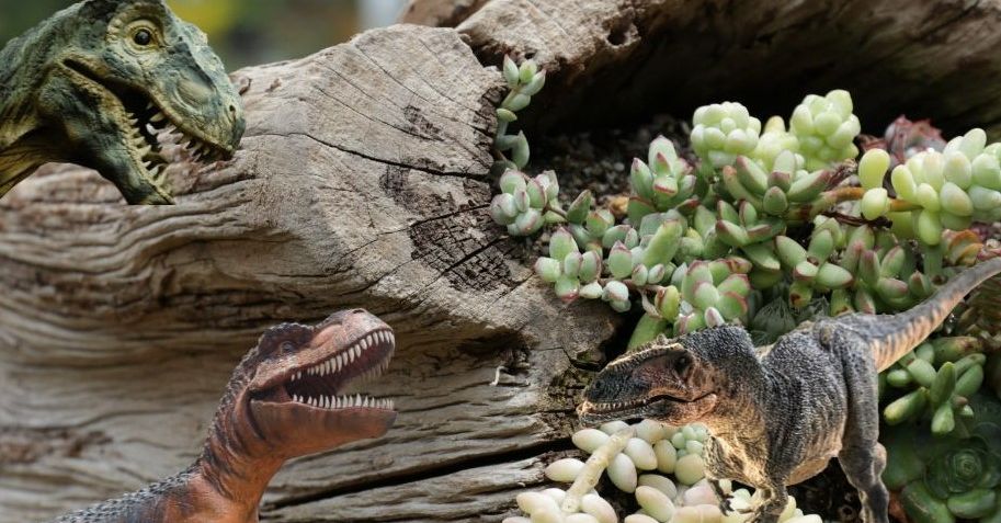 Dinos & Scary Creatures Mini Garden