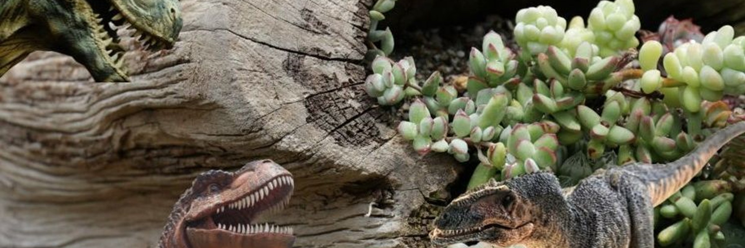 Dinos & Scary Creatures Mini Garden