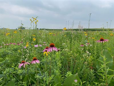 image Happy National Prairie Day!