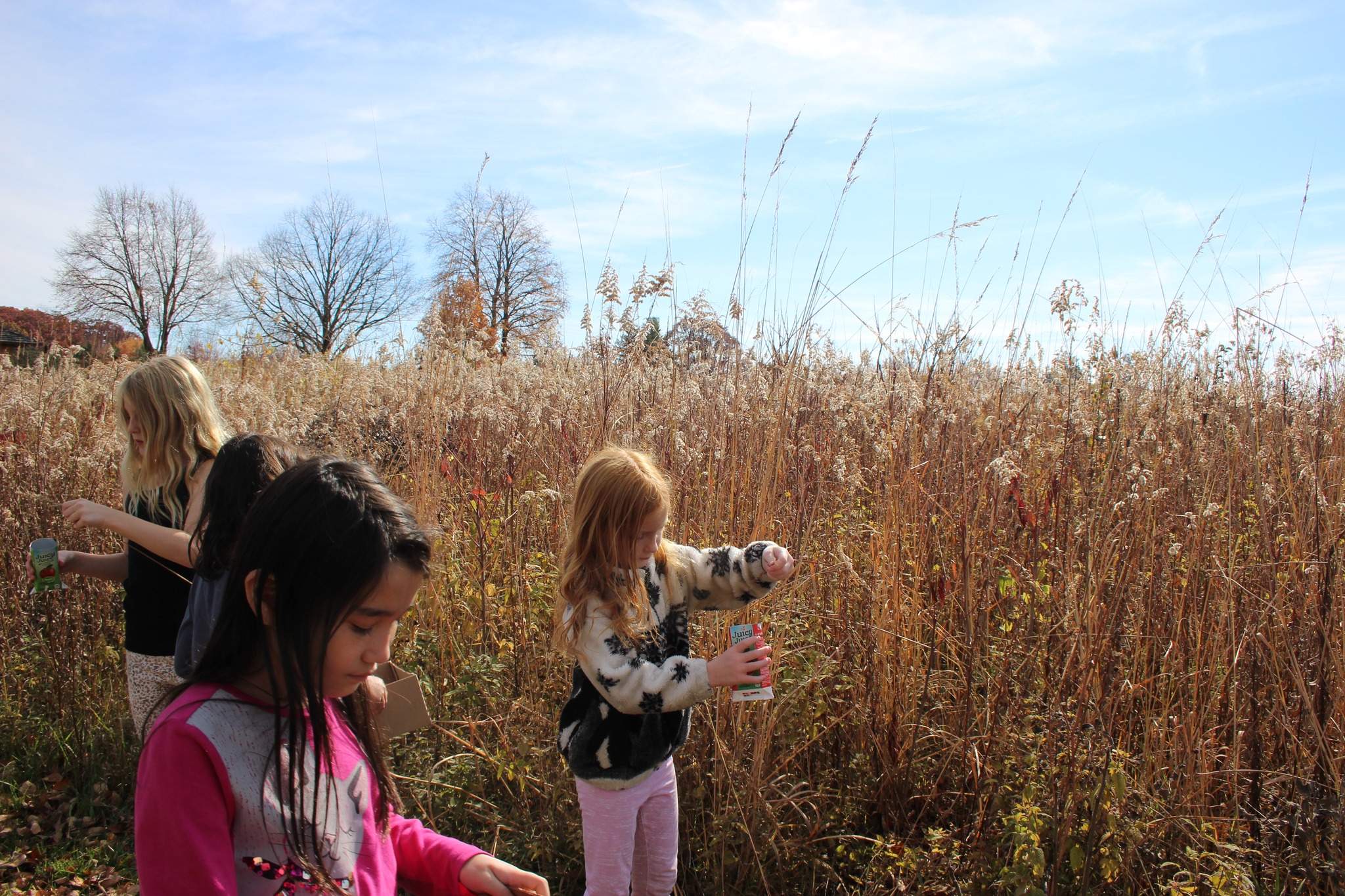 Walk with a Naturalist