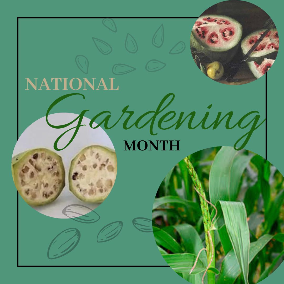National Gardening Month