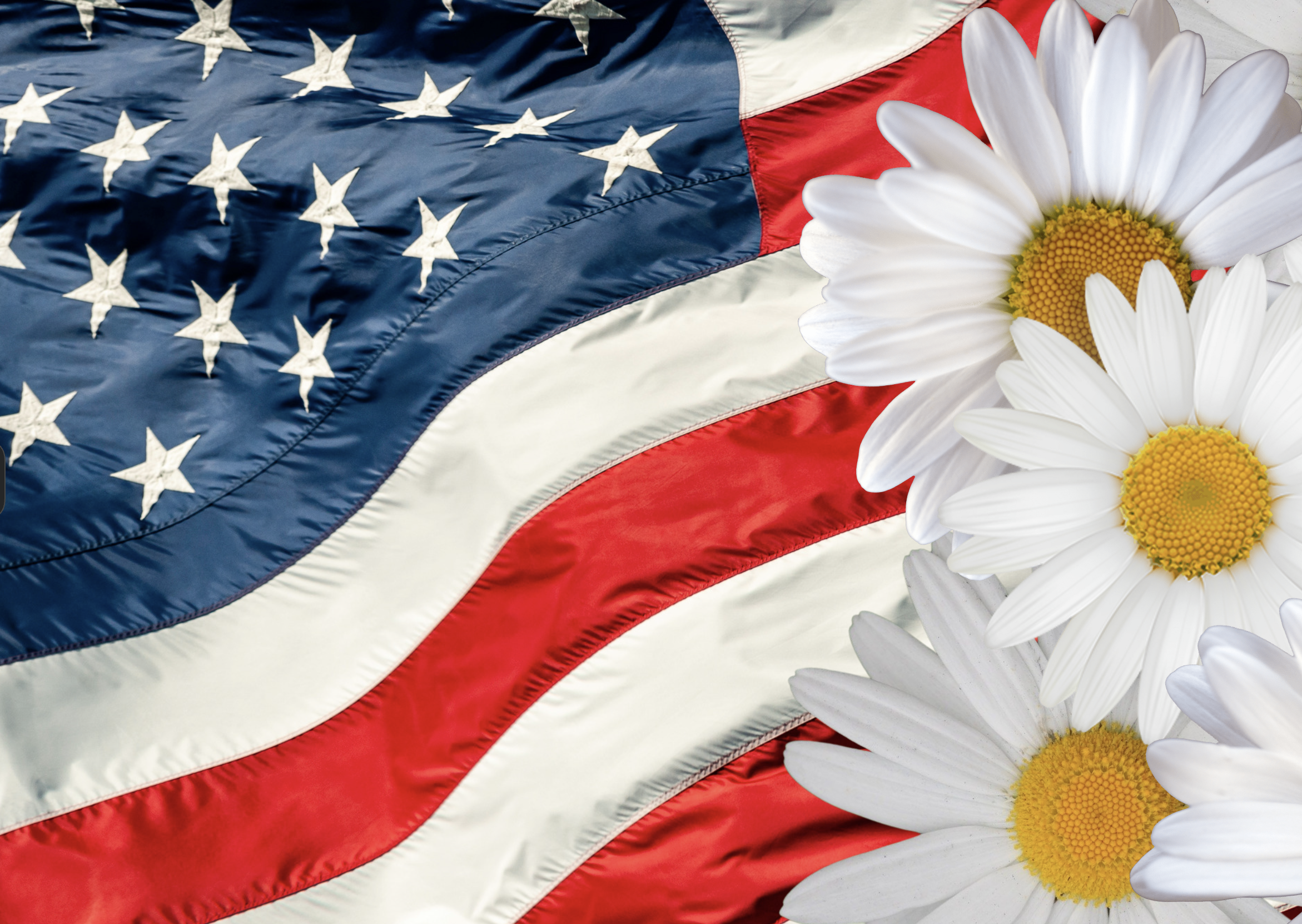Cultural Colors: Red, White, & Blue Daisies