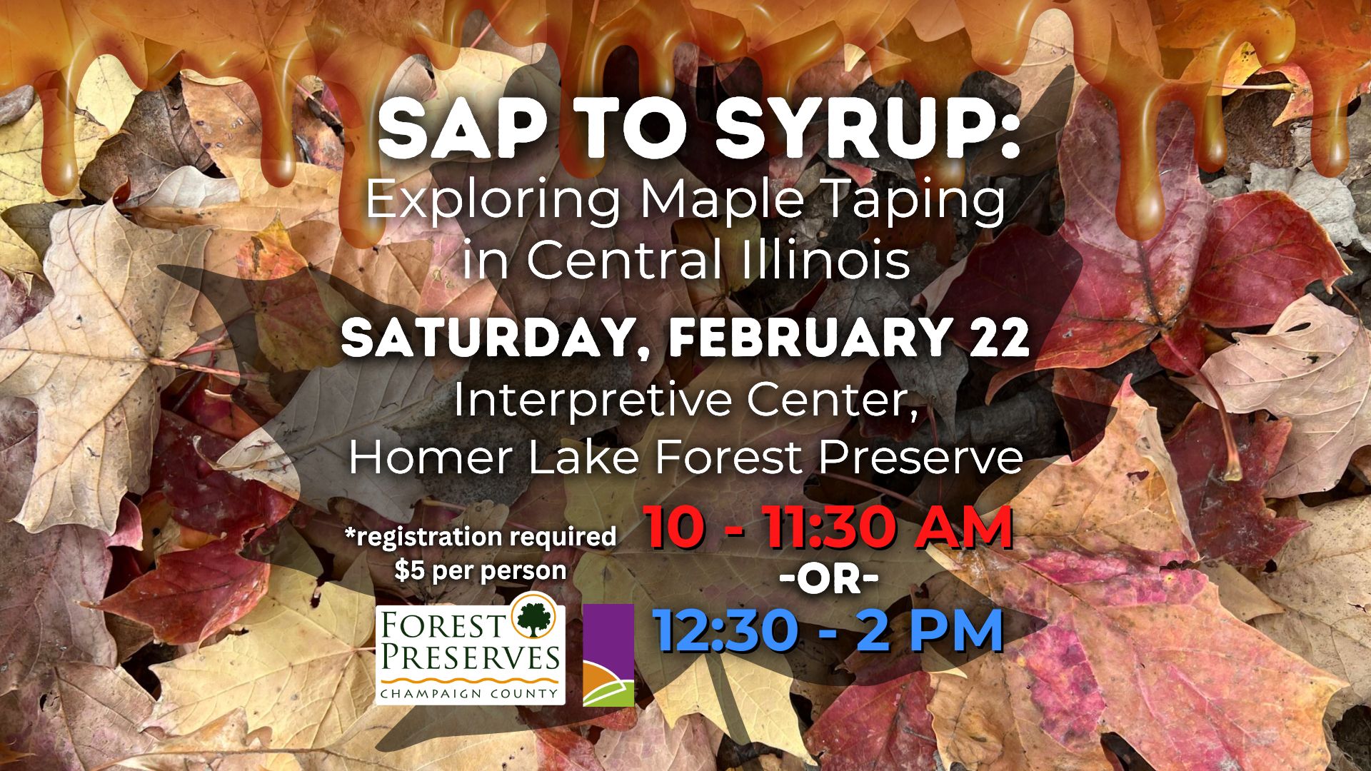 Sap to Syrup: Exploring Maple Tapping in Central Illinois (AM Session)