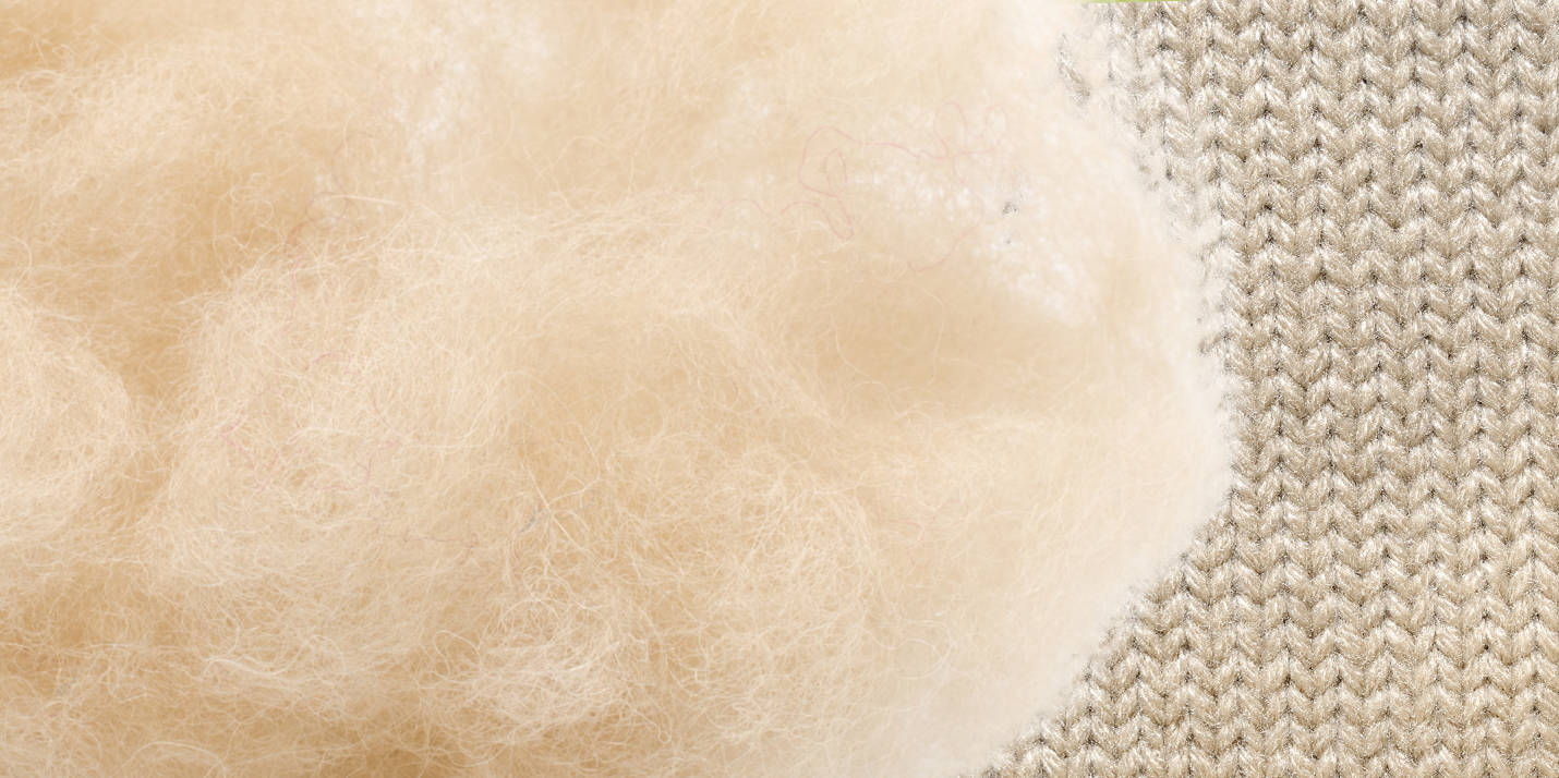 What We Teach: Sheep to Wool