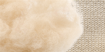 image What We Teach: Sheep to Wool
