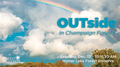 image OUTSIDE IN CHAMPAIGN FORESTS