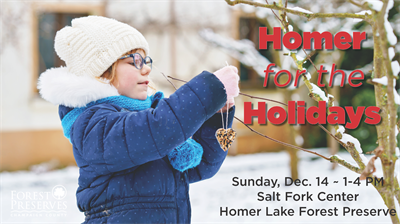 image HOMER FOR THE HOLIDAYS