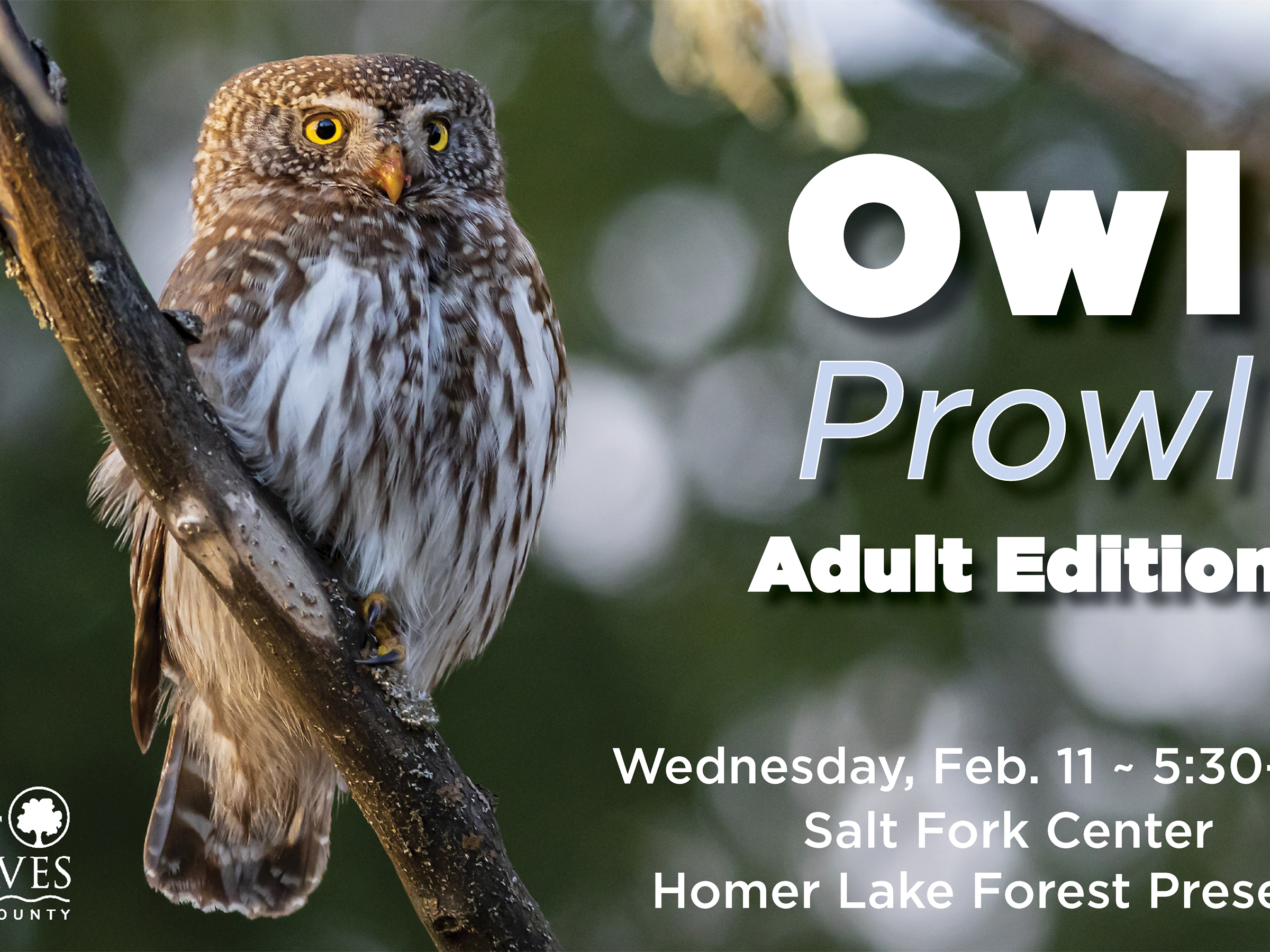 OWL PROWL: ADULT EDITION