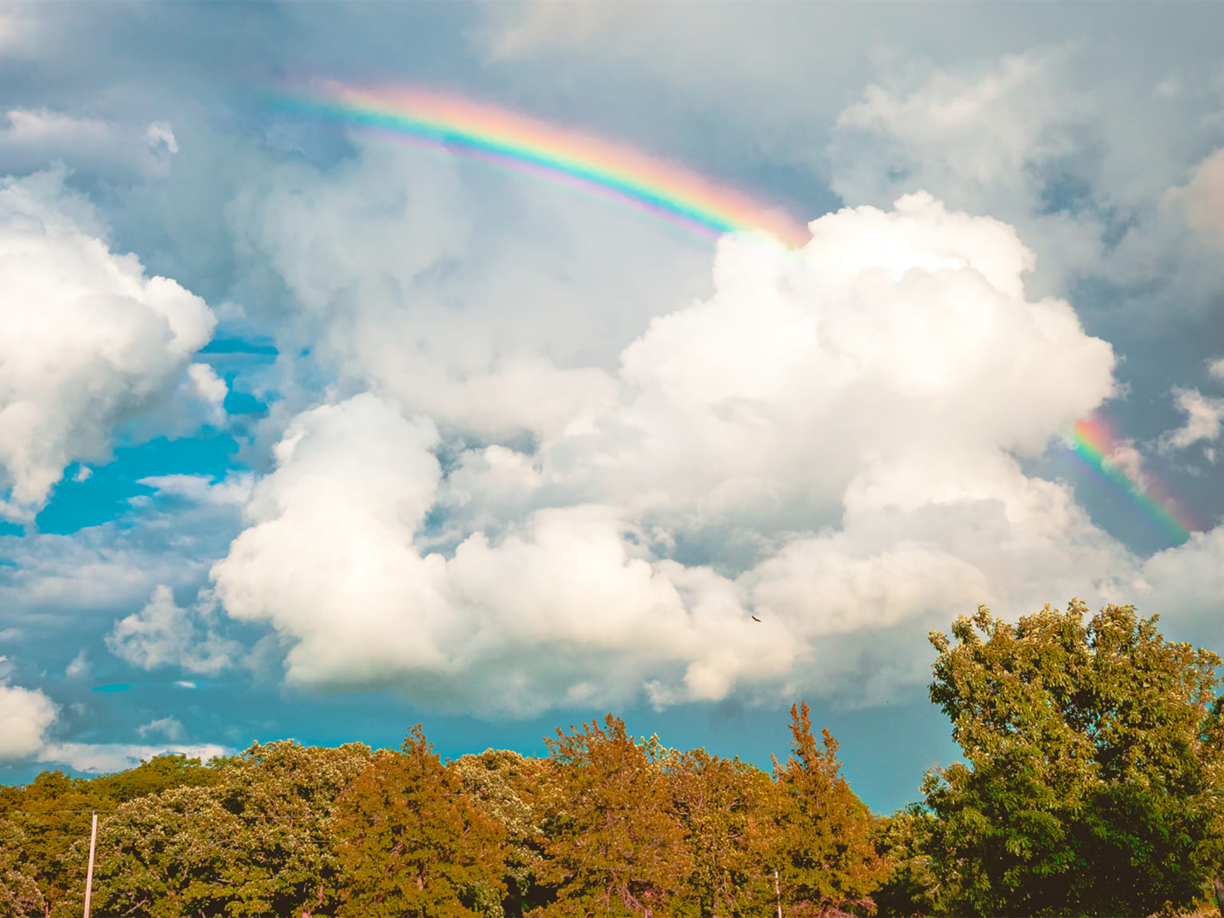 OUTSIDE IN CHAMPAIGN FORESTS: BUFFALO TRACE PRAIRIE