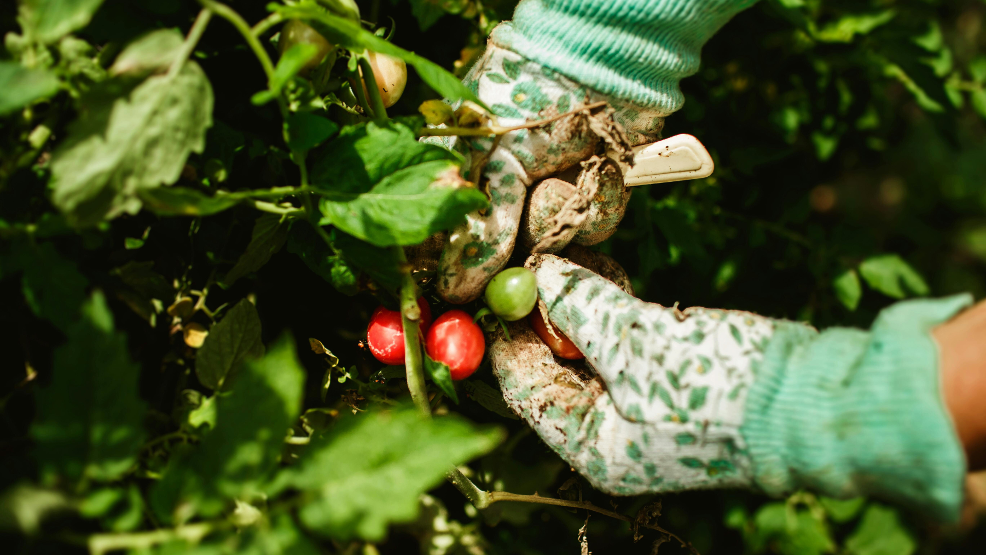 GARDEN SPEAKER SERIES: SOLA GRATIA FARM