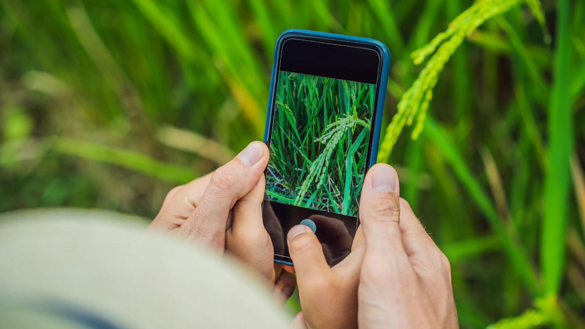 CONSERVATION IN ACTION: iNATURALIST APP TRAINING