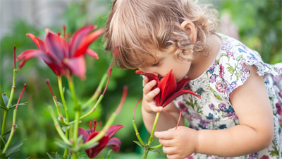 image GROWING UP IN THE PRESERVES: SPRING FLOWERS