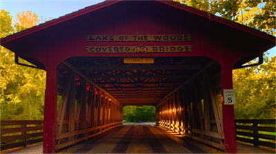 image Bats at the Bridge