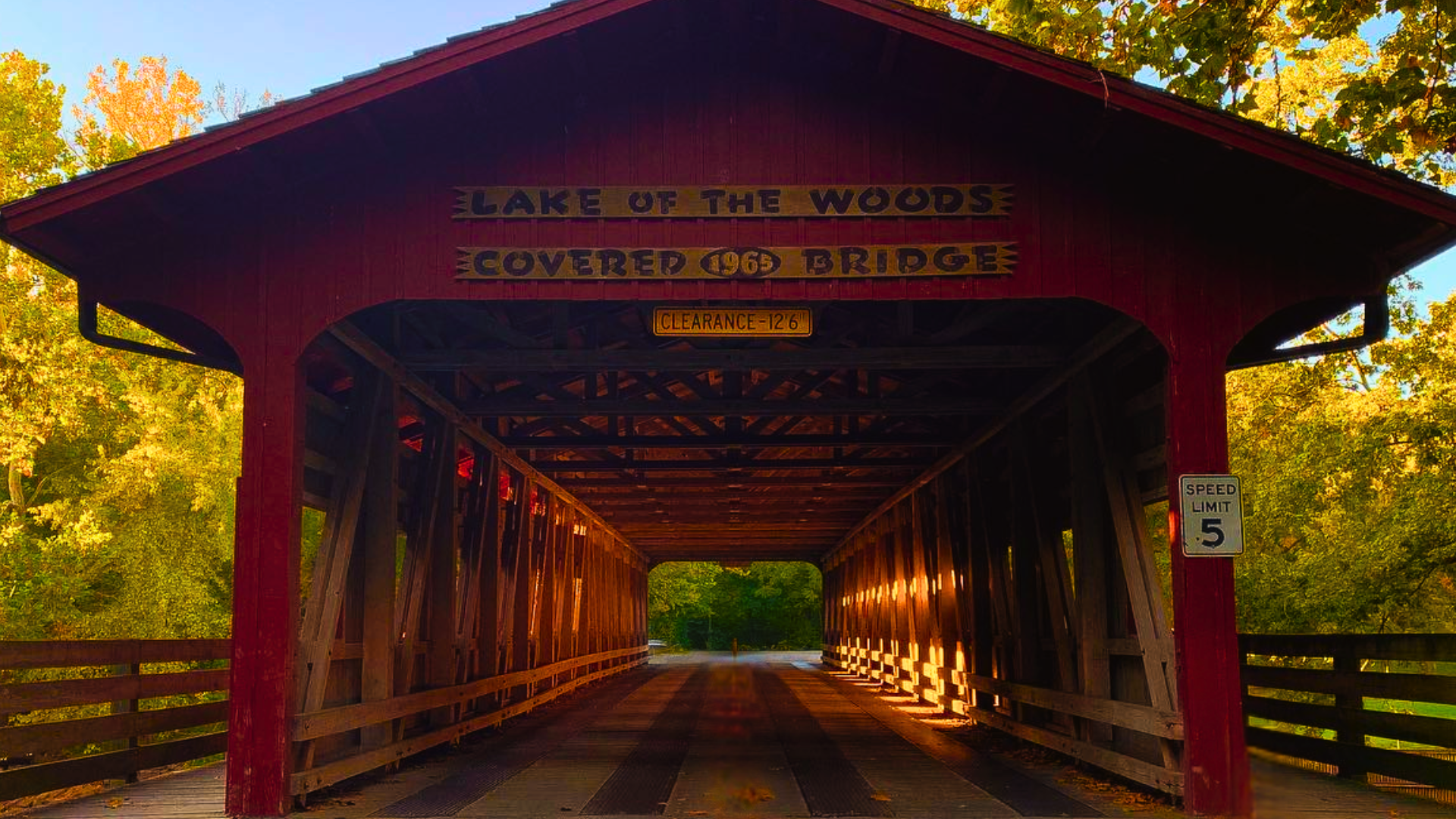 Bats at the Bridge