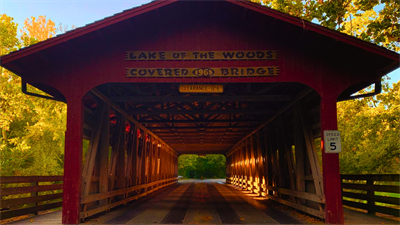 image Bats at the Bridge