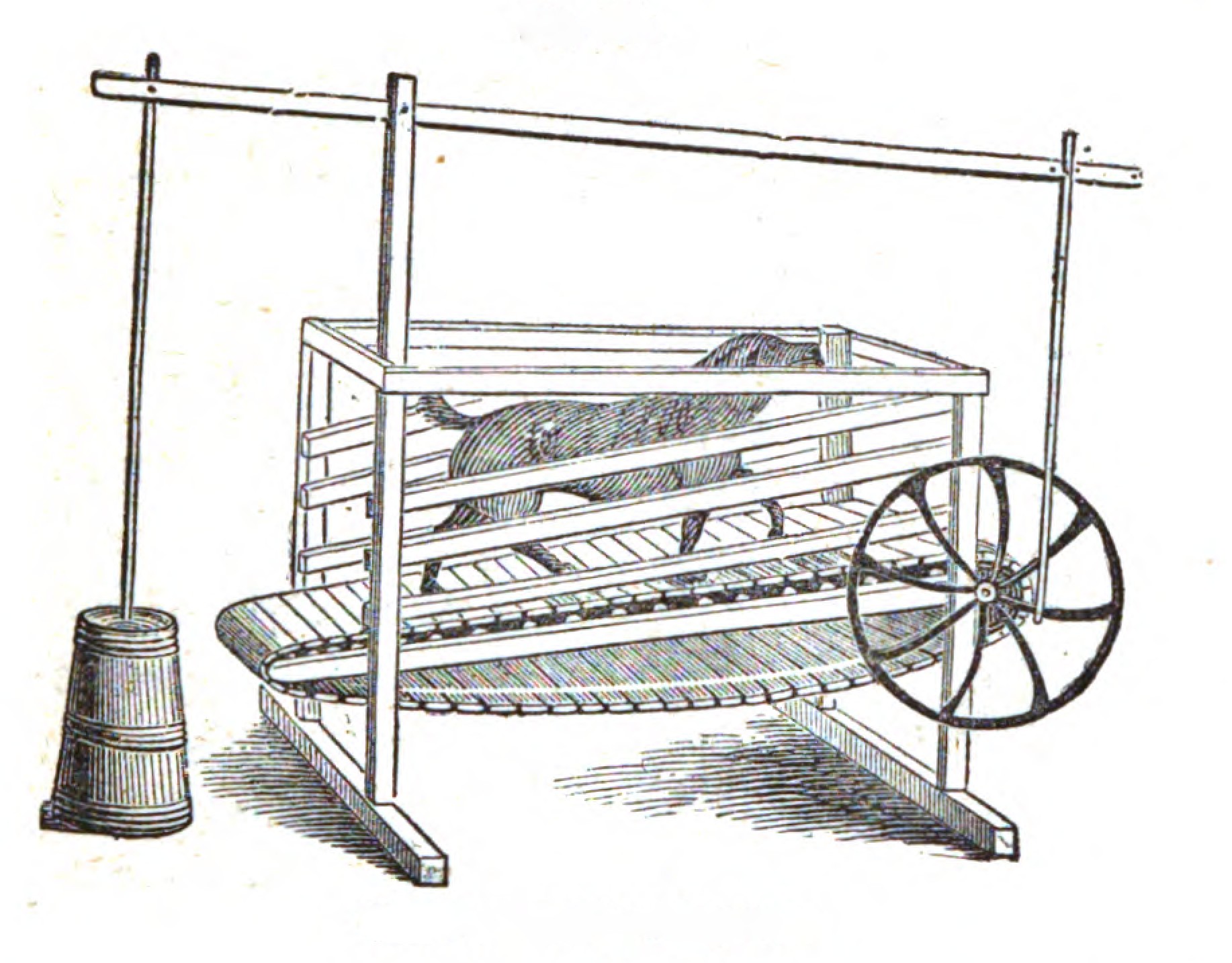 Dog Power: Salvation Through Conservation